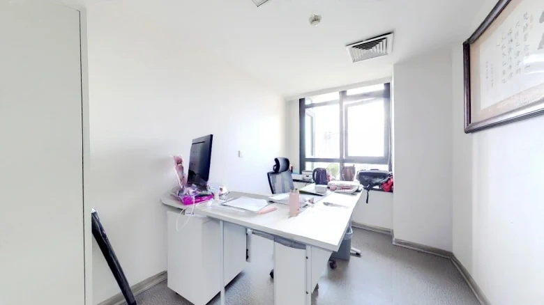 Manhattan Mansion - View 4