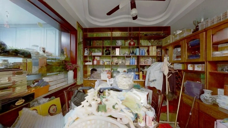 Prosperity Garden - View 5