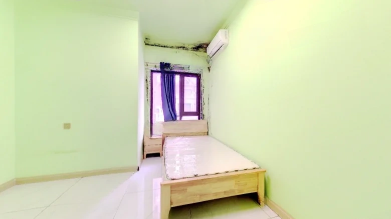 Poly Real Roland Sea Coast - View 5