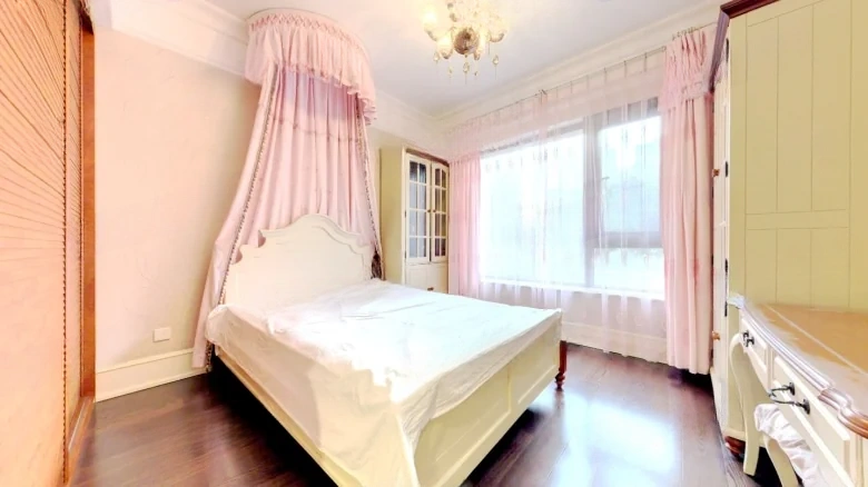 Xipai International - View 2