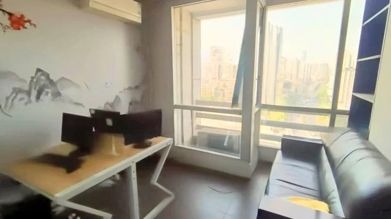 Honglin International - View 3