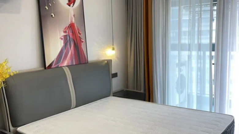 Kingbird Lumiere - View 4