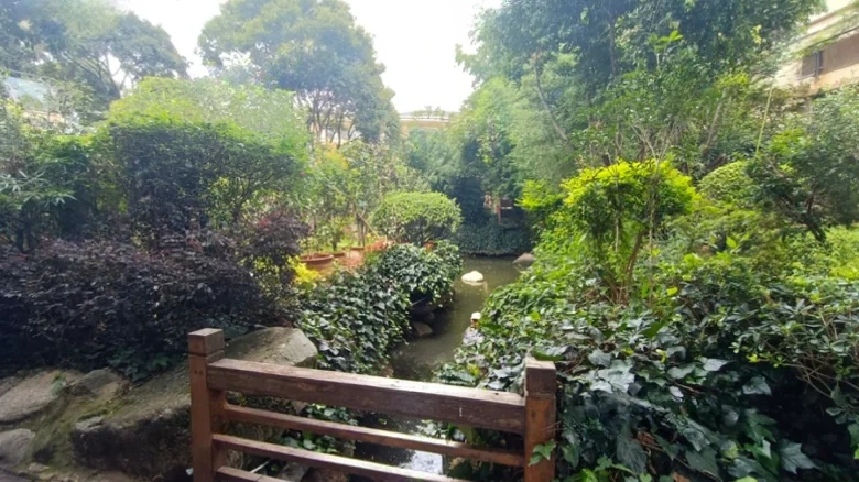 Dianchi Nanjun - View 22