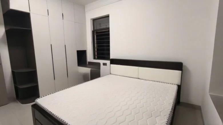 Tongxin Watermelon Mango Resettlement Area Phase I - View 3