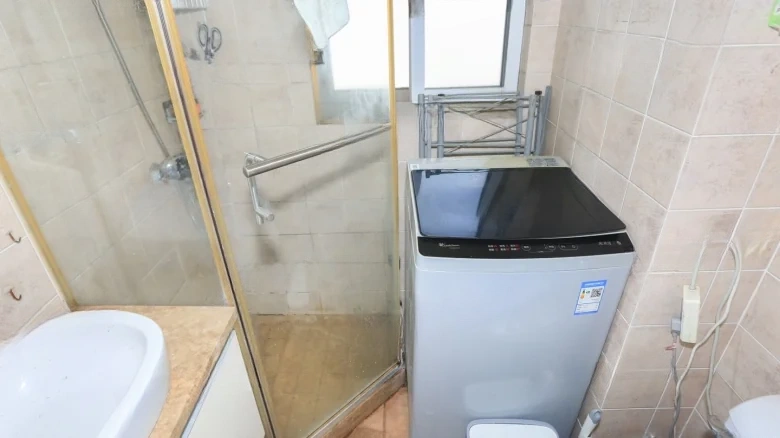 New Phoenix City - View 4