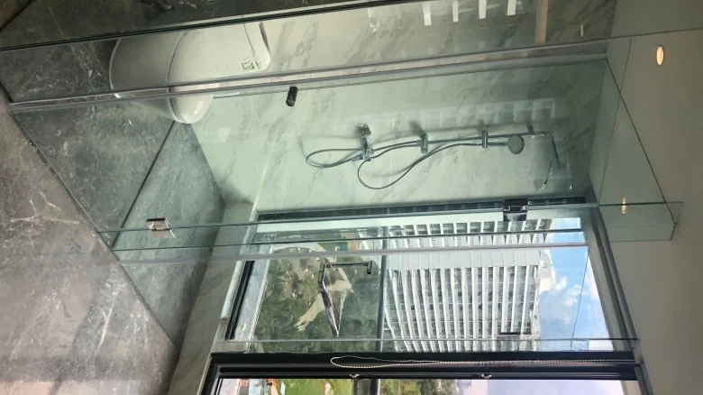 Artistic Hibiscus - View 7