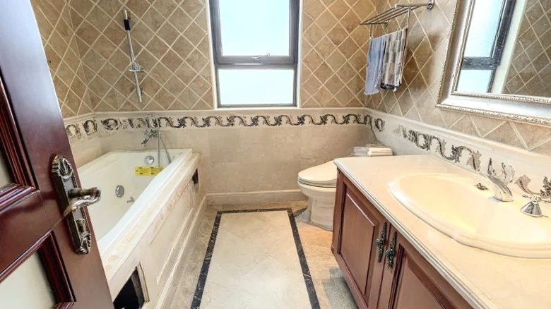 China Ocean Phoenix Radiant Shore Phase III - View 10