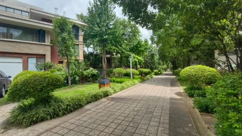 Dianchi Nanjun - View 15