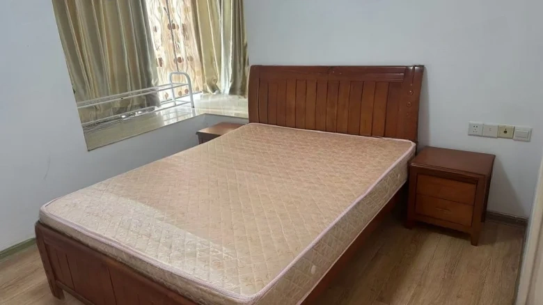 Palace Grace Vista - View 1