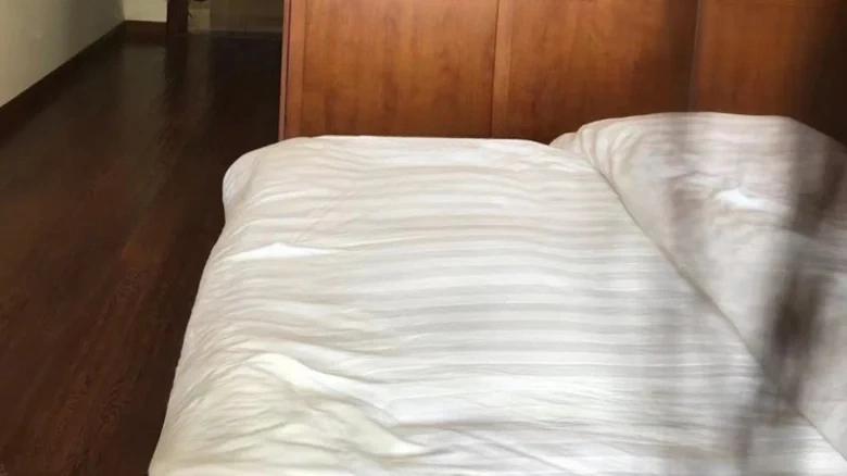 Red Star Purple Courtyard - View 3