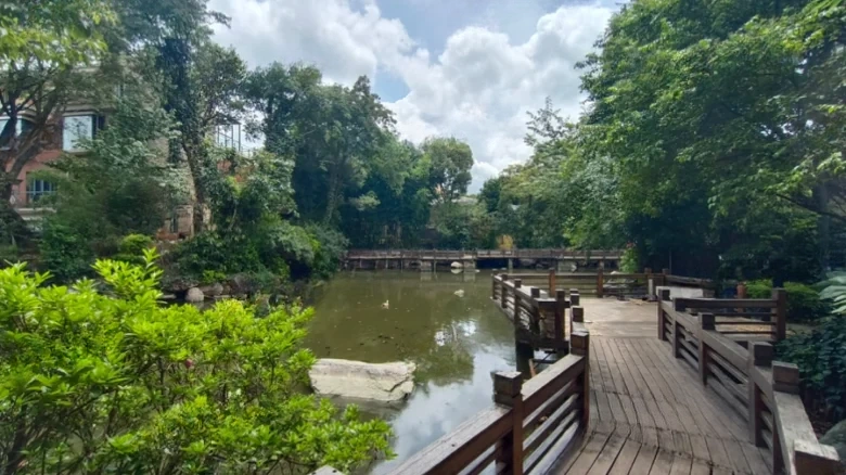 Dianchi Nanjun - View 18