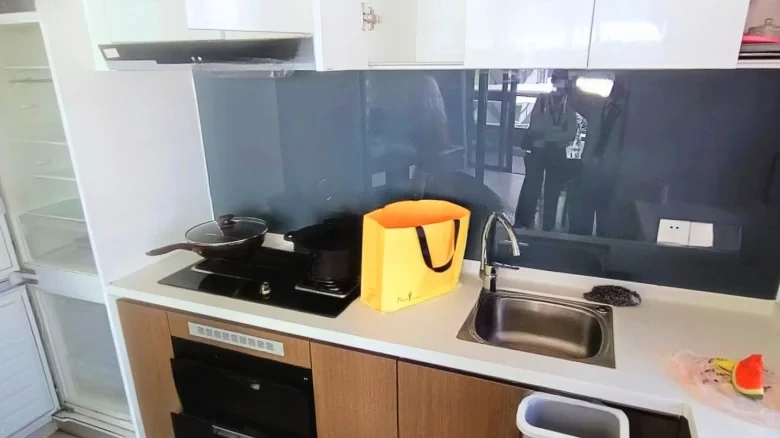 Pearl River Lihao - View 6