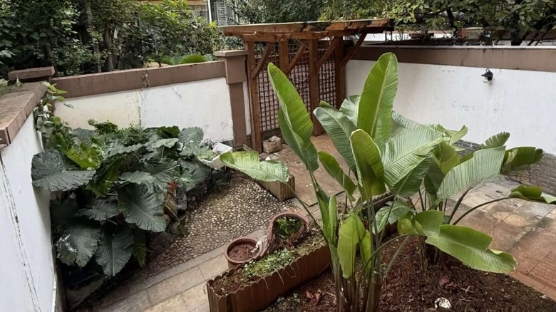 Fragrant Water and Wind - View 7