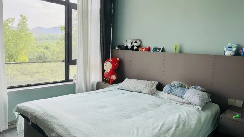 Lake Dragon Tianchen Original Residence - View 1