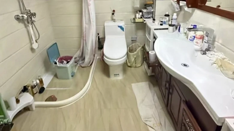 New Universe Prosperity Garden - View 6