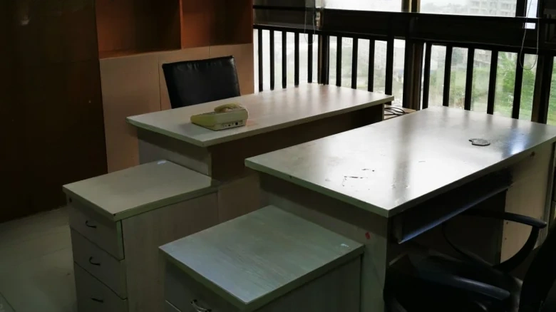 Joyful Purple Glory - View 10