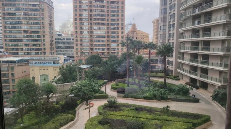 Shun Cheng Superior Apartments - View 17