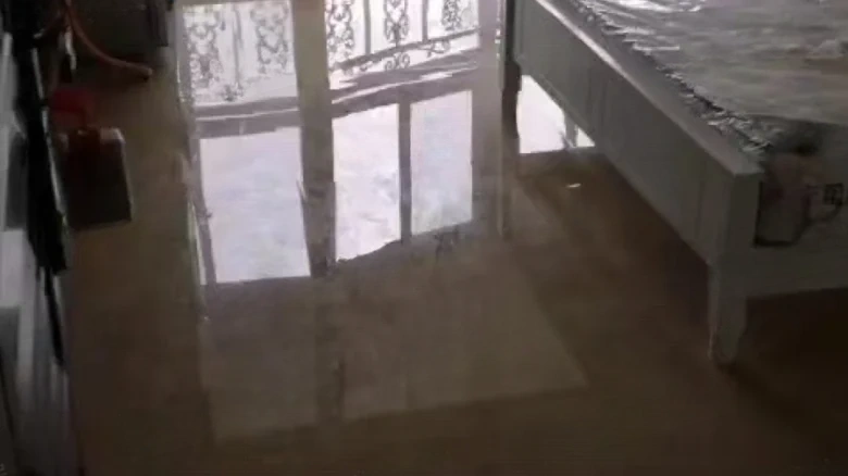 Jinlun Garden - View 10