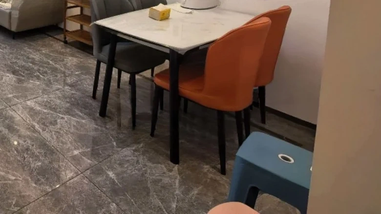 Vanke Puyue Zhenyuan - View 4