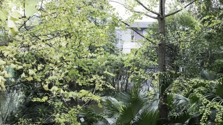 Jinlin Peninsula - View 23