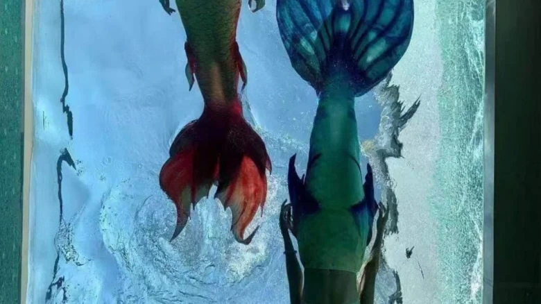 Guoshou Jiayuan · Ejing - View 4