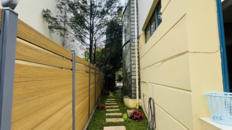 Dianchi Forest - View 16