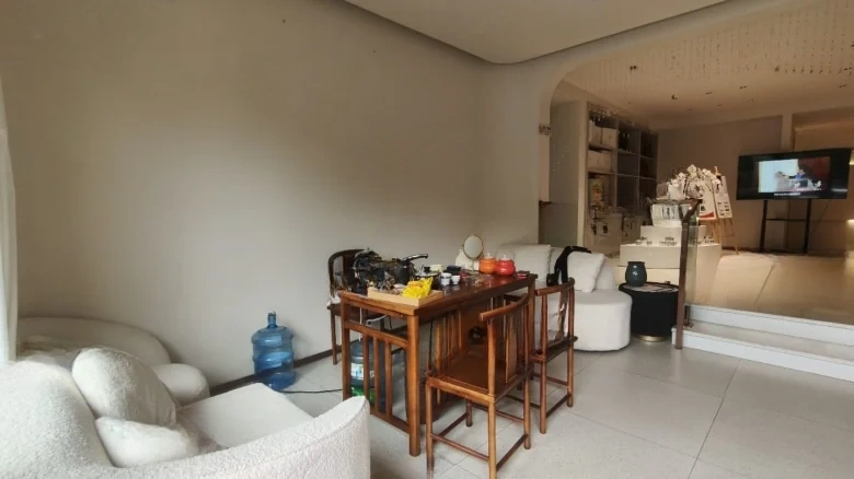 Dianchi Weicheng Ziyong - View 7