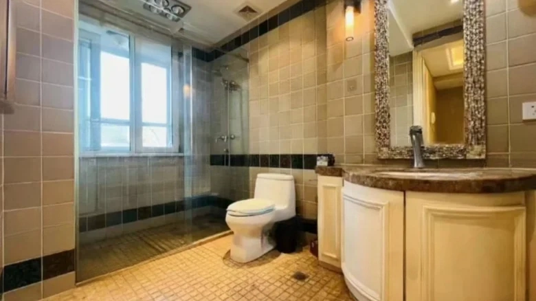 Vanke Whistler Township - View 6