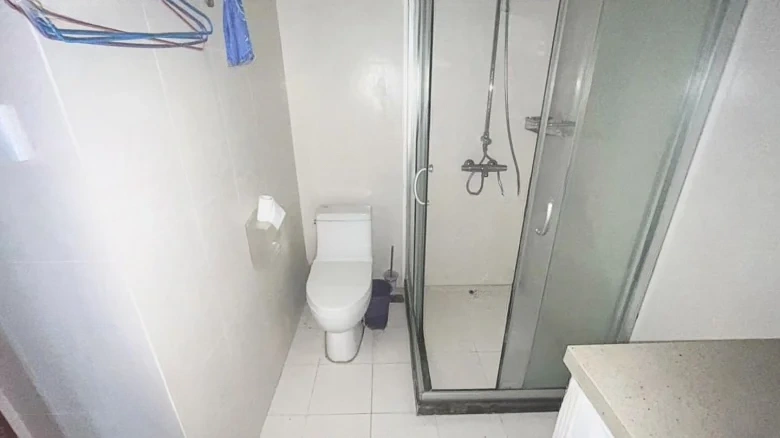 Dream Stream Lake Manor - View 28