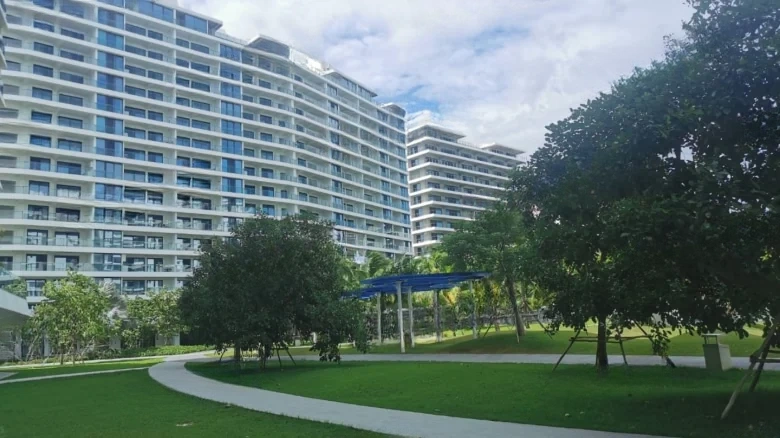 Art Hibiscus - View 12