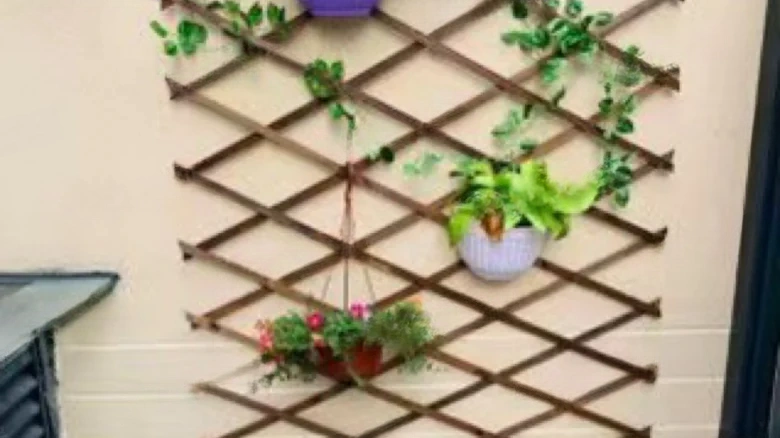 Violet Bamboo Cloud Mountain Villa - View 6