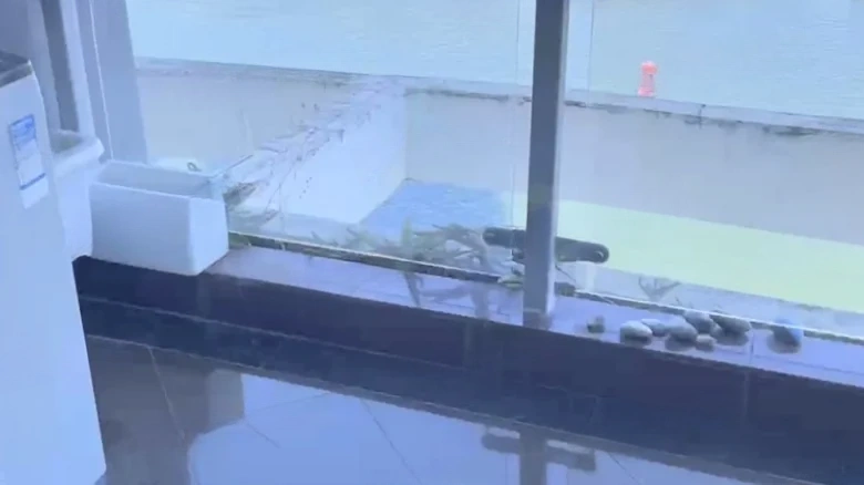 Hongzhou Times Coast - View 8