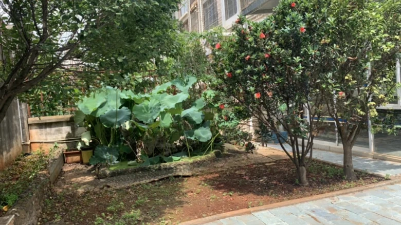 Fuze Garden Guandu District - View 18