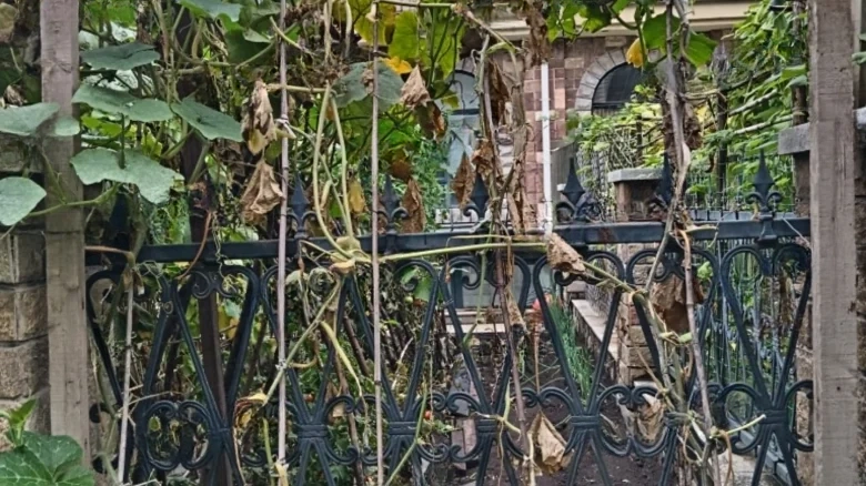 New Emerald Flower Stream - View 20