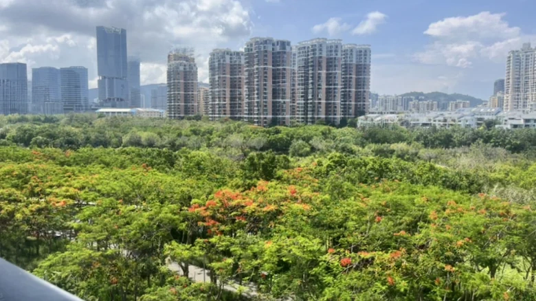 Park 88號/OR Park No. 88 - View 9