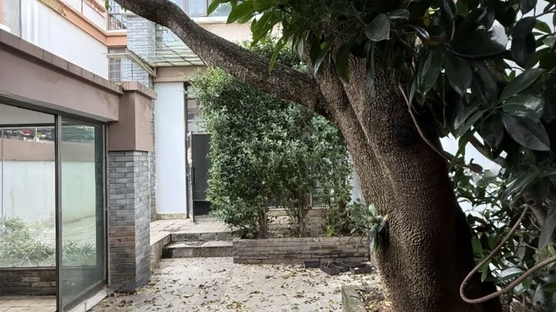 Fragrant Water and Wind - View 19