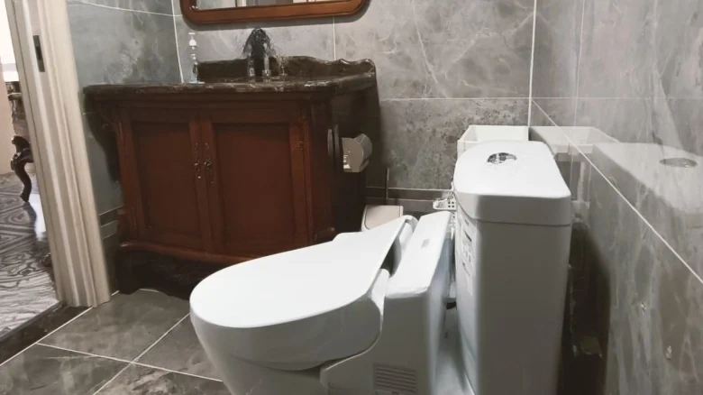 Green City Fragrant Courtyard - View 11