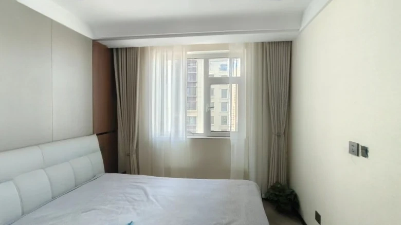 Zhicheng Maple Leaf International - View 3