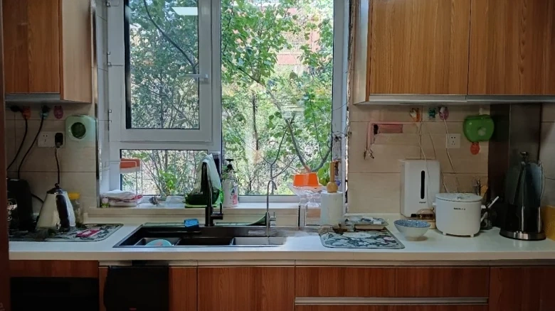 Vanke Whistler Township - View 6