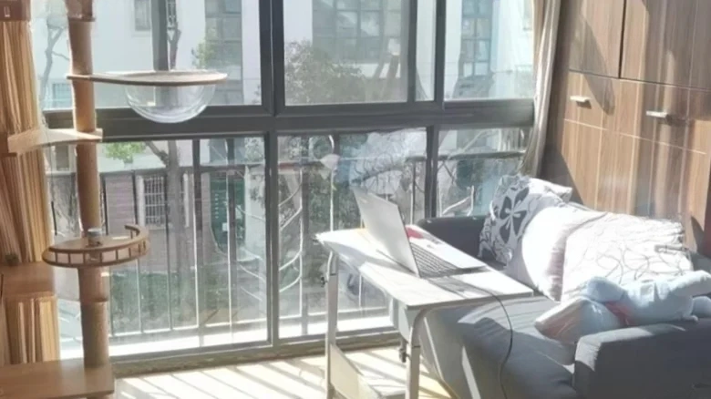 Donglu Xincao Wujiefang - View 5