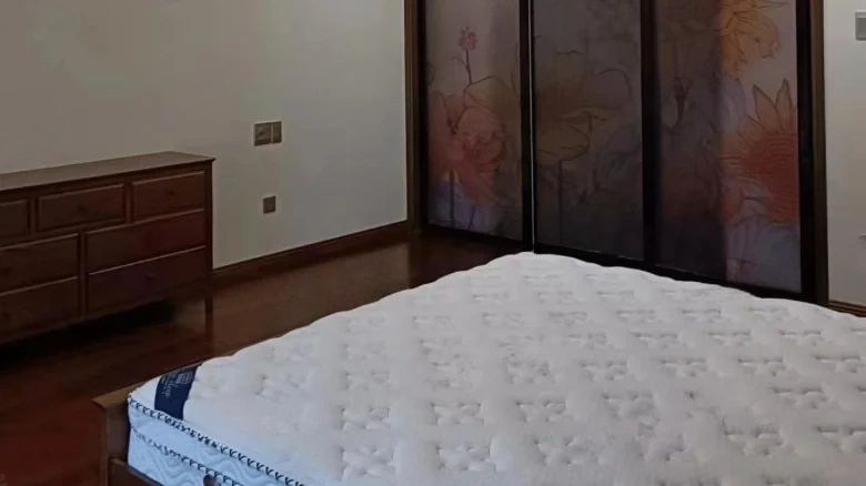 Elegant Jade Courtyard - View 2