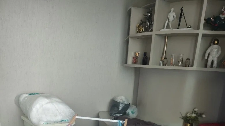 Shimao Pullman - View 2