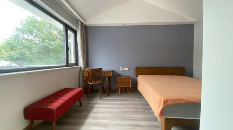 Suzhou Garden - View 5