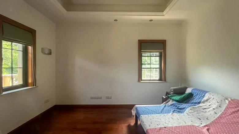 Dream Stream Lake Manor - View 13