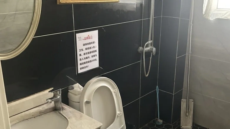 Central Garden New City Villa - View 11