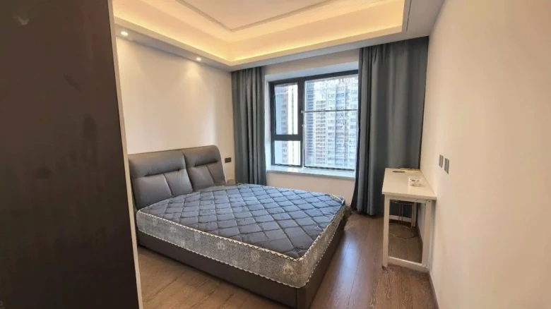 Vanke Puyue Zhenyuan - View 3