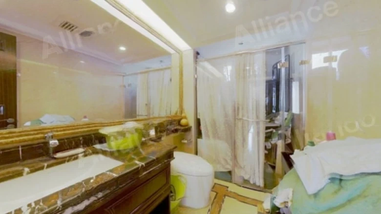 China Resources Joy Mansion - View 9