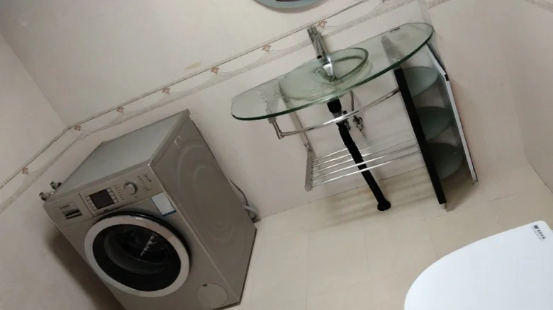 Nanhu Master Artists - View 8