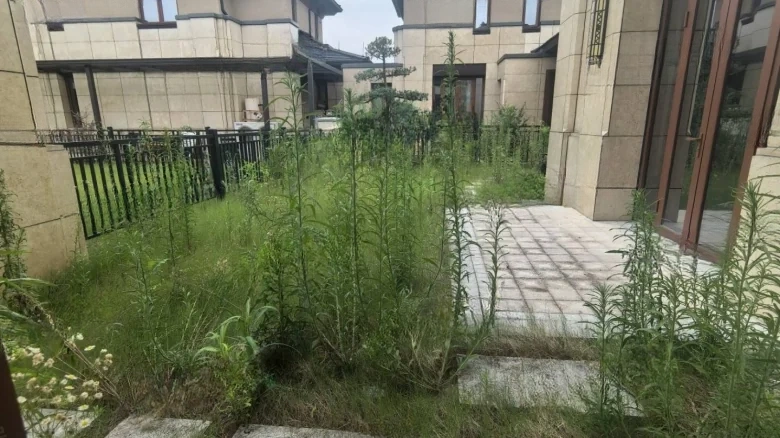 Tree兰 Health Valley - View 9