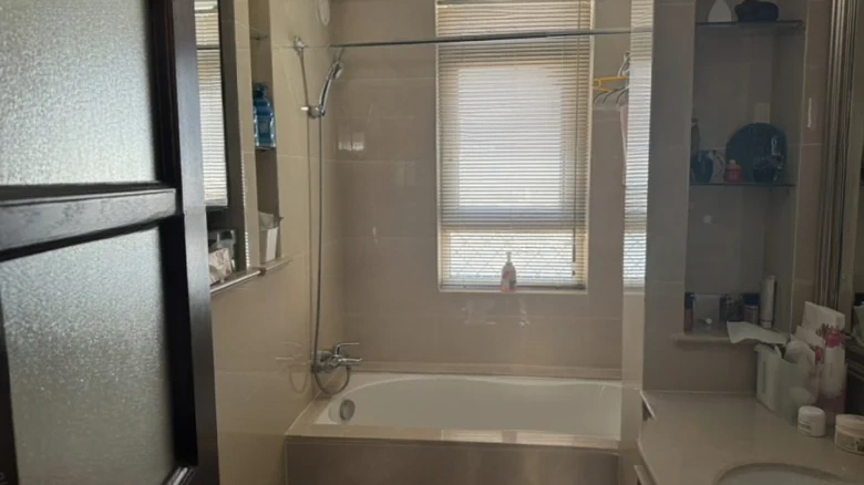 Langsheng Dongwu Green District - View 7